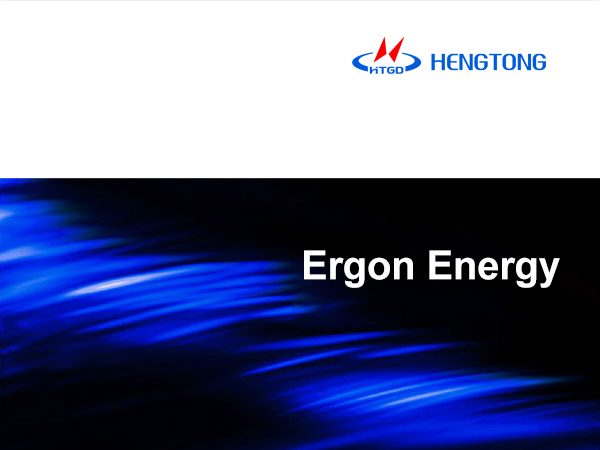 Ergon Energy